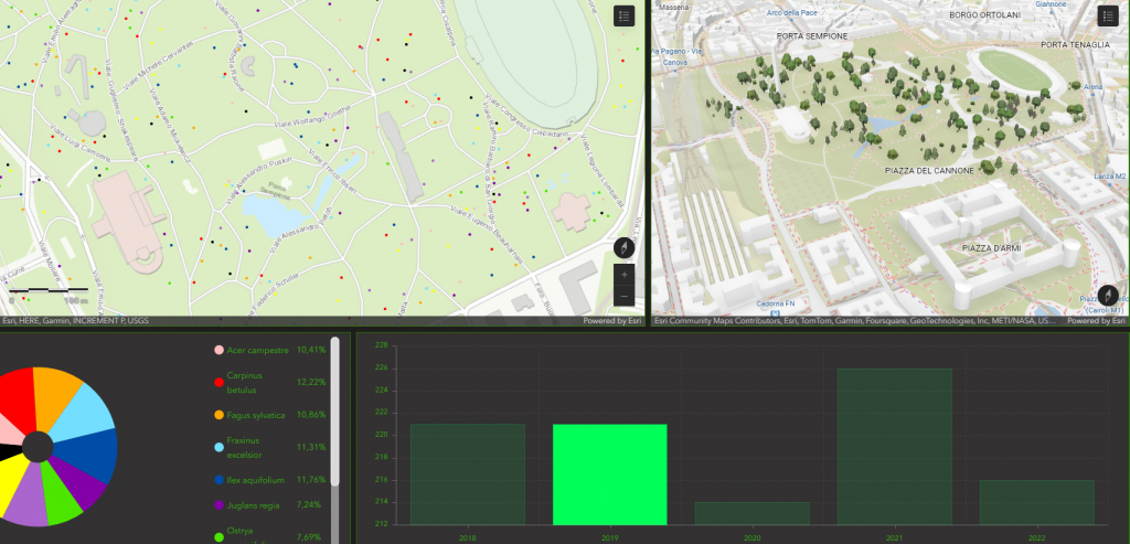 Dashboard - Grafici