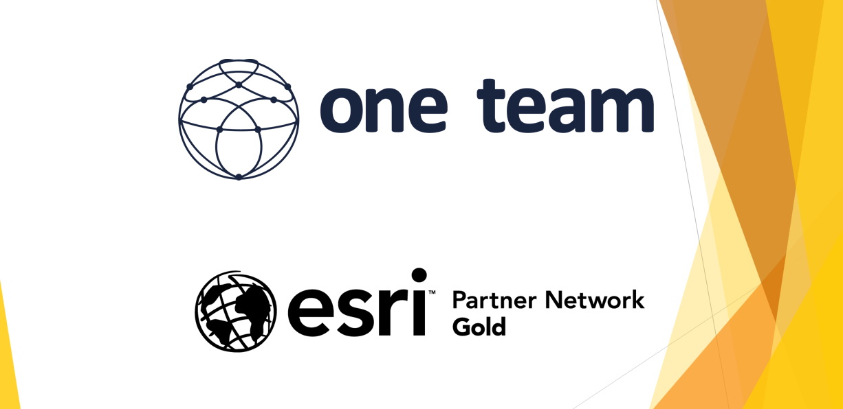 Gold Partner - Copertina
